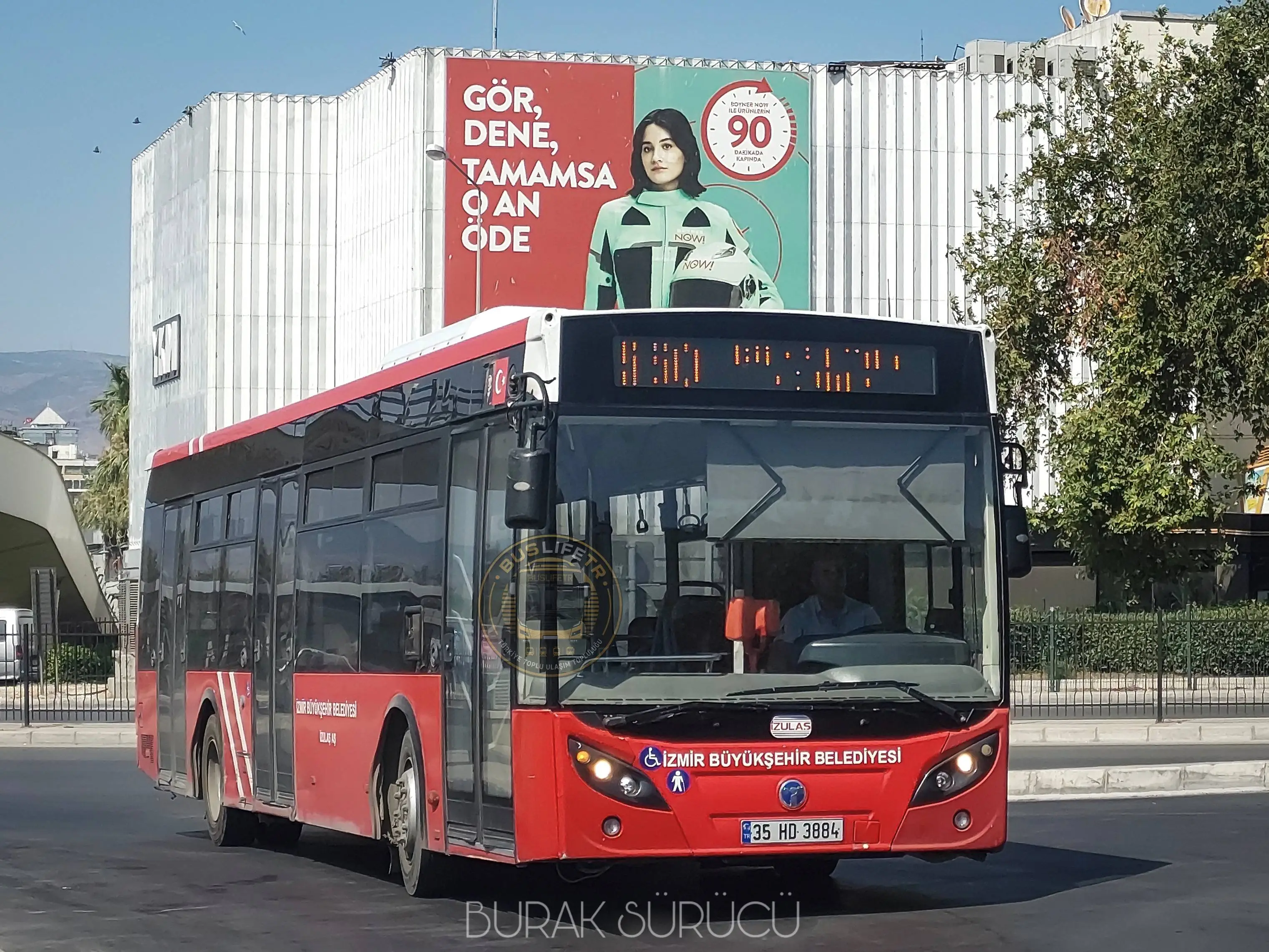 İZULAŞ / Temsa Avenue II LF 