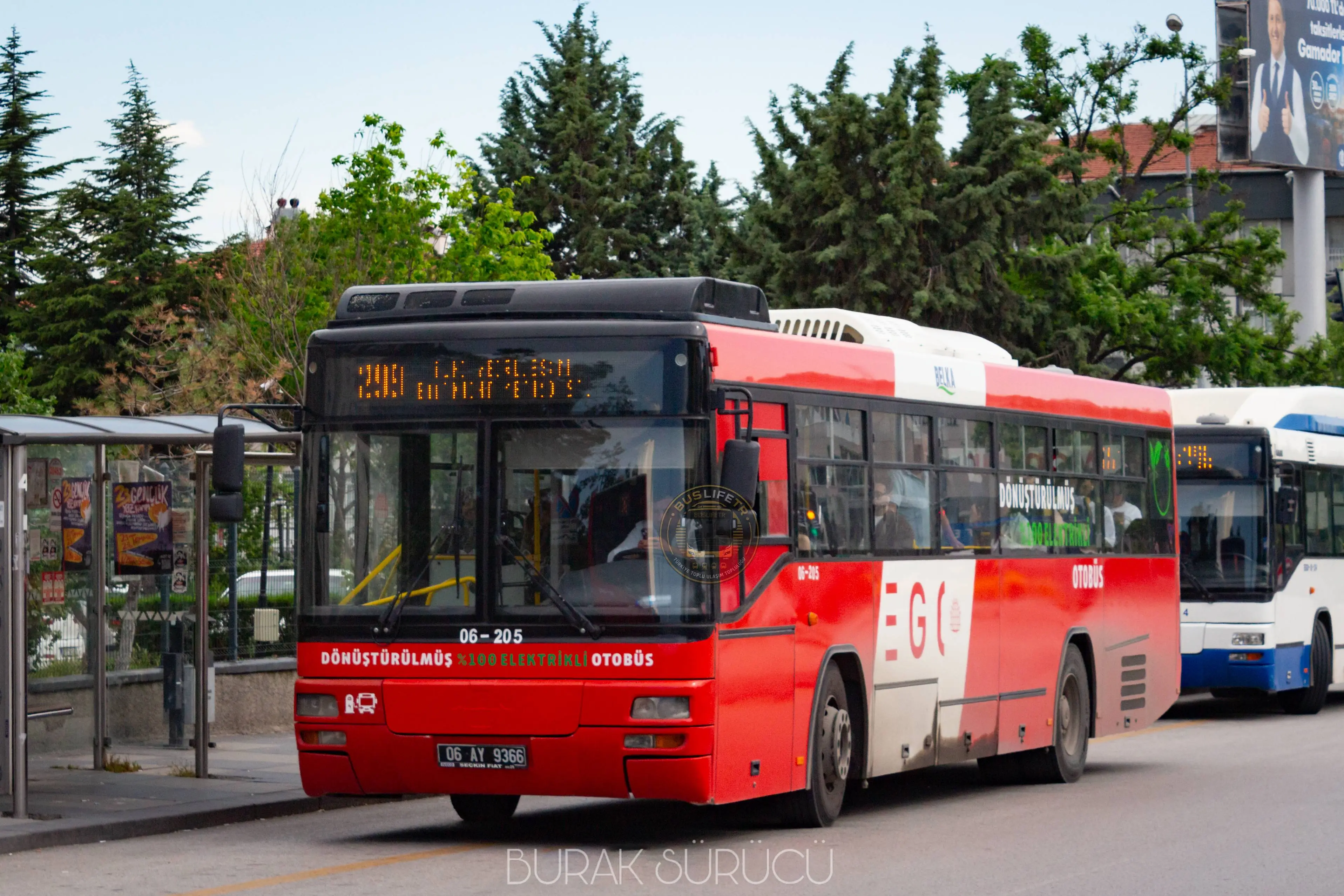 EGO / BELKA BUS3E