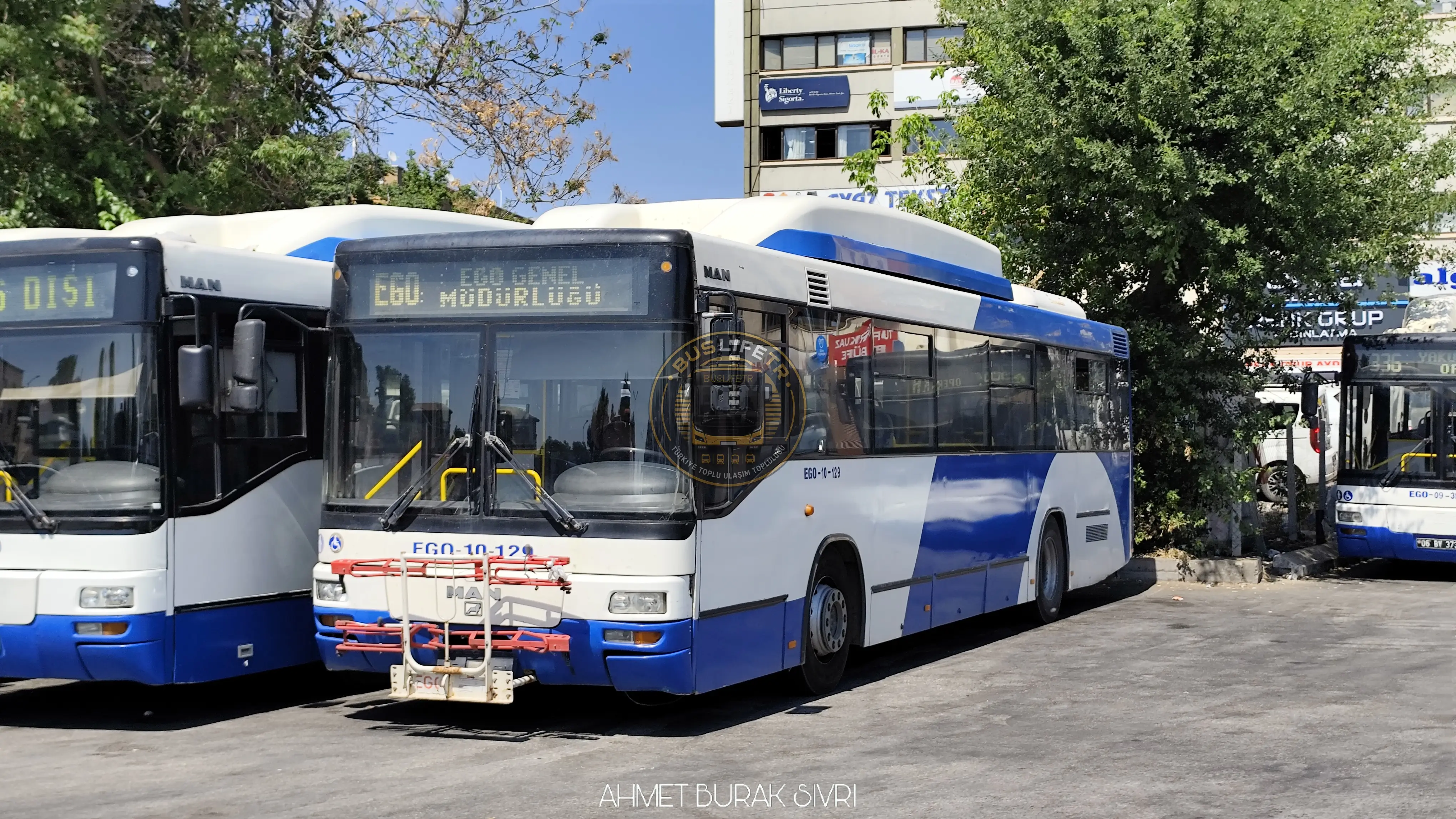 EGO / MAN A74 Lions Classic SL313 CNG otobüs fotoğrafı EGO 10-129
06 DC 7879
EGO Genel Müdürlüğü 