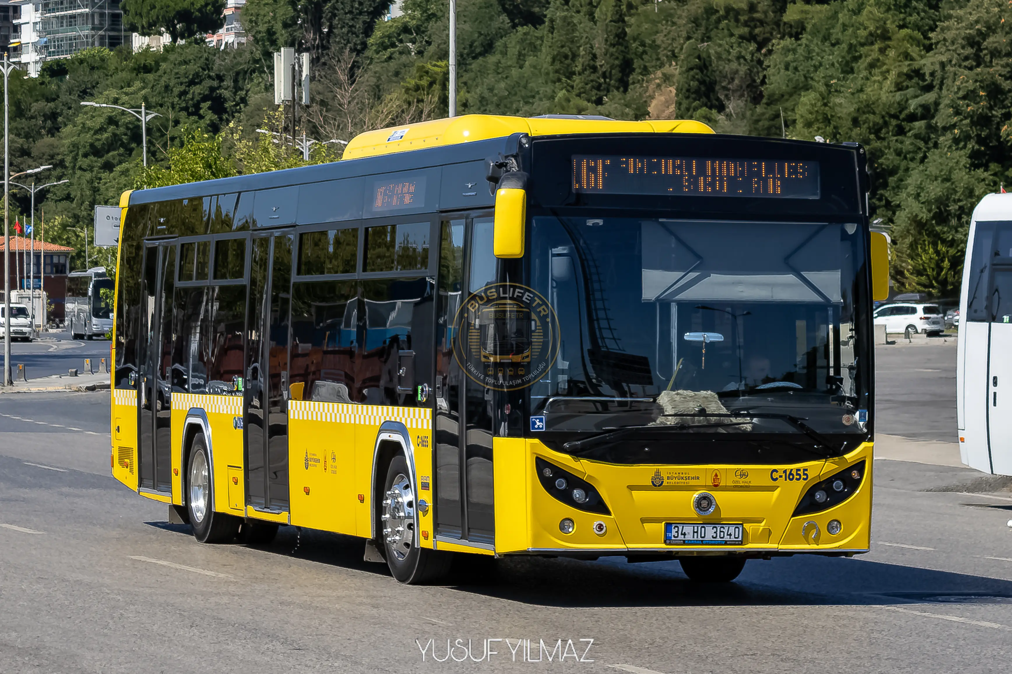 ÖHO / TEMSA AVENUE LF/PLUS