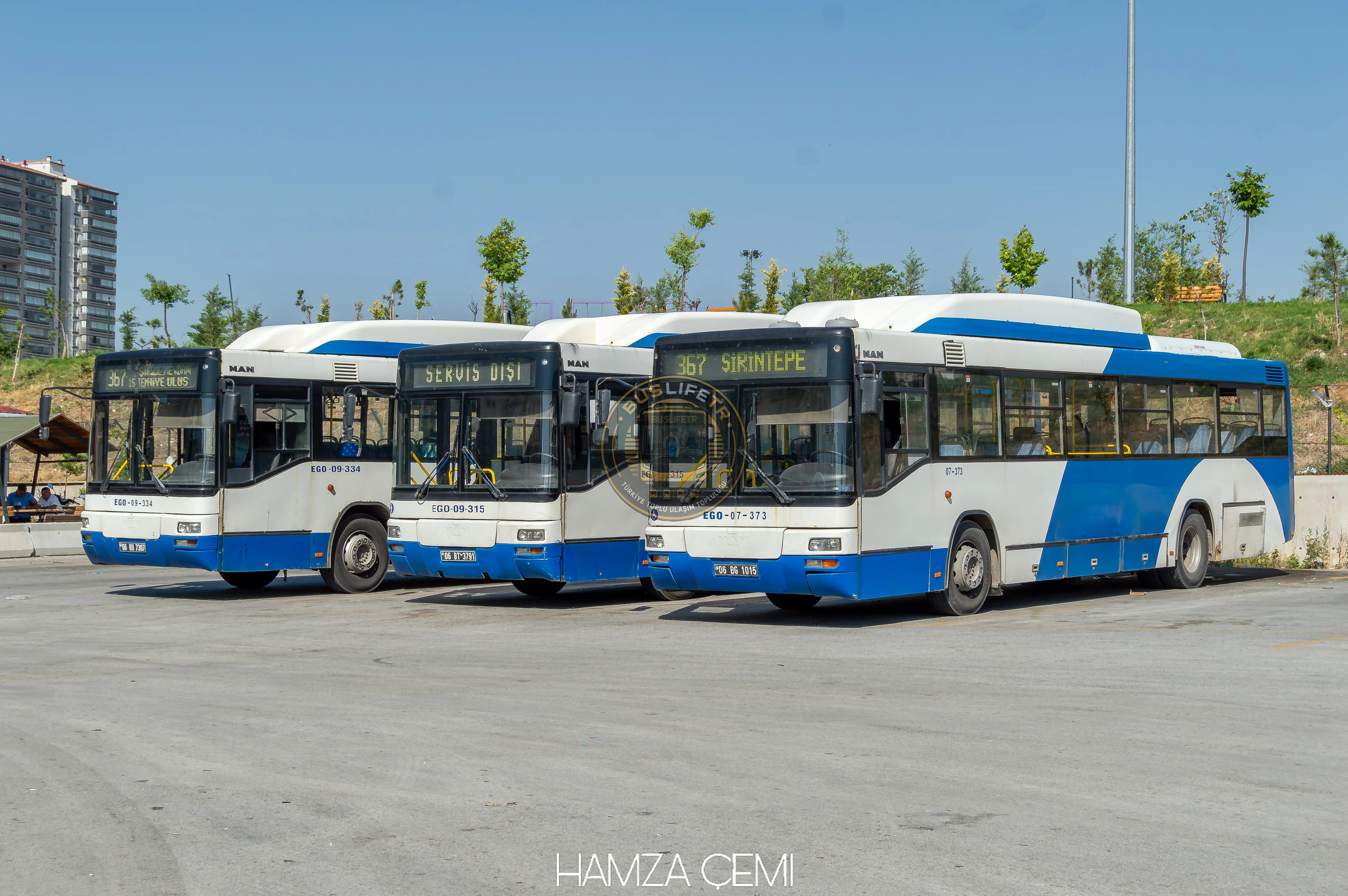 EGO / MAN A74 Lions Classic SL313 CNG